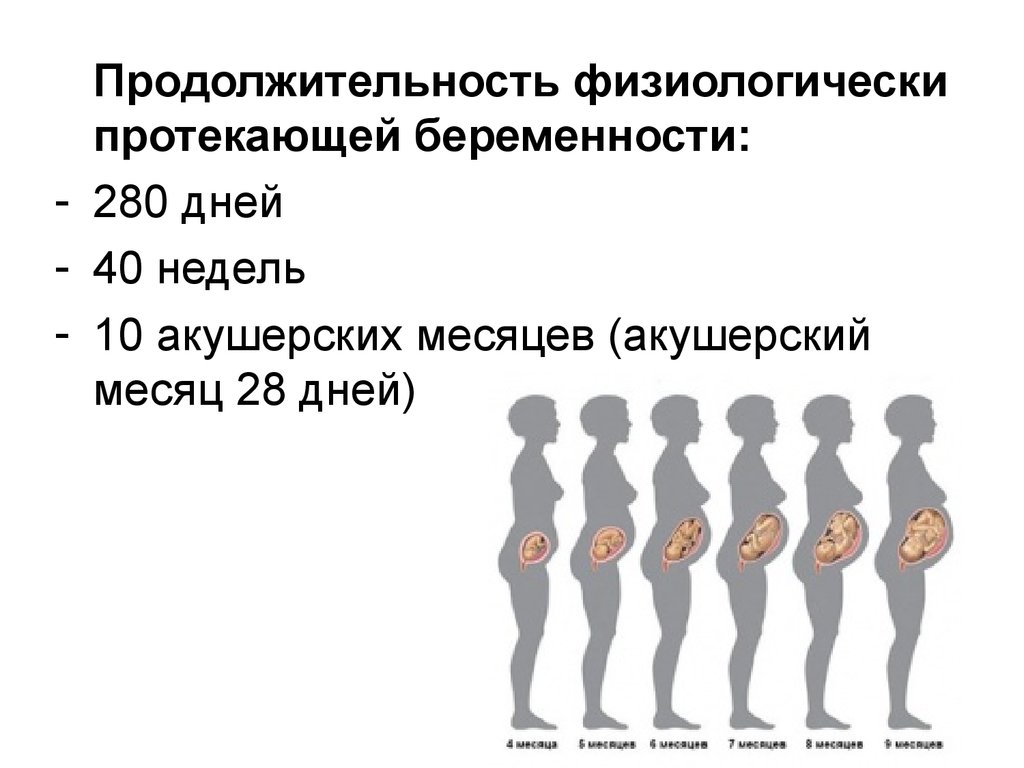 Информация о беременности - ГБУЗ Выселковская ЦРБ