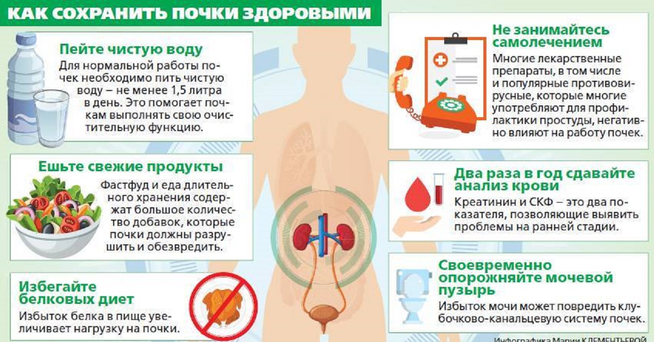 Всемирный день почки - ГБУЗ Выселковская ЦРБ