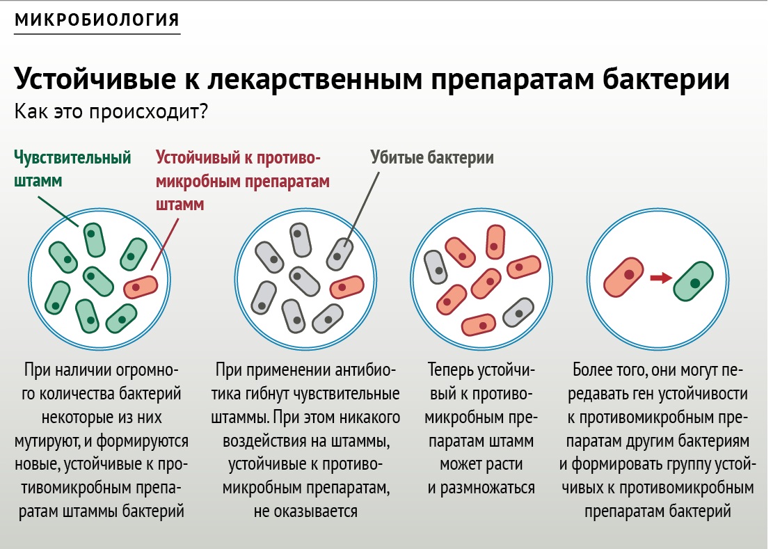 20 - 26 ноября Неделя борьбы с антимикробной резистентностью (в честь  Всемирной недели правильного использования противомикробных препаратов*) -  ГБУЗ Выселковская ЦРБ