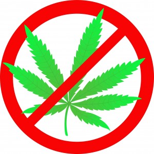 Вред марихуаны для подростков видео конопля канада